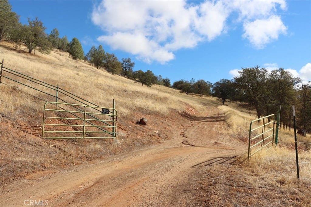 0 39.91 Ac Road 400 Property Photo 21
