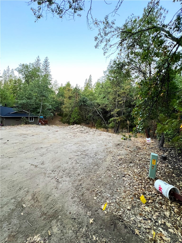 0 Blue Gill Property Photo