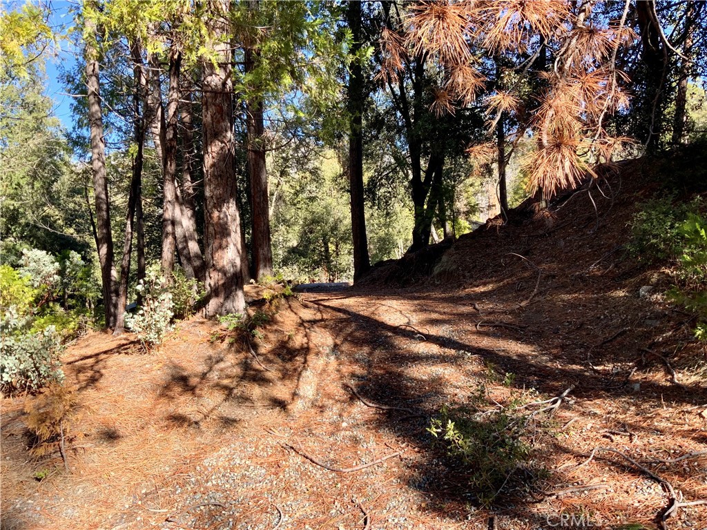 50963 Chu Ranch Road Property Photo 1