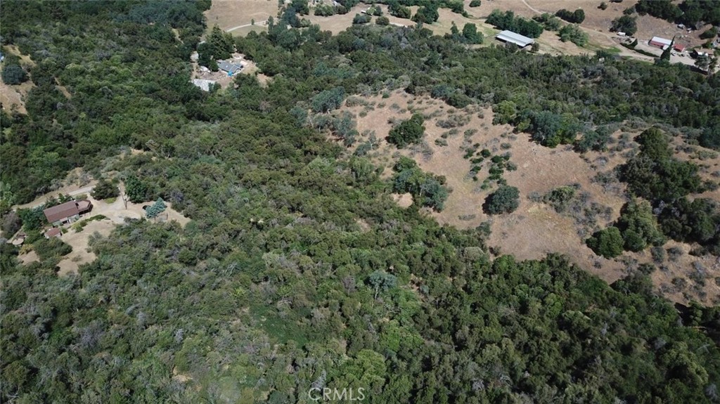 15 Acres Property Photo 5