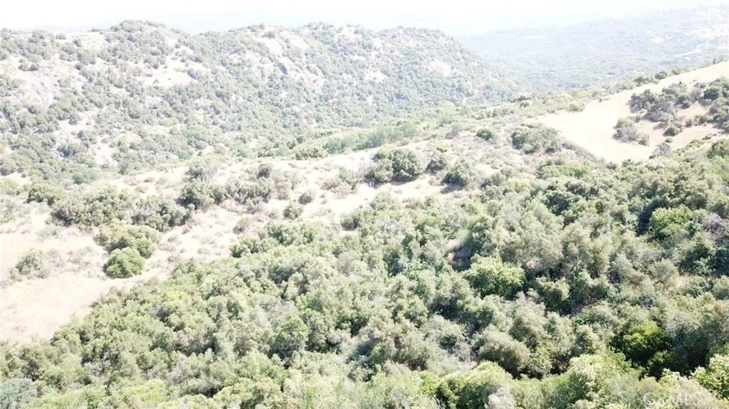 15 Acres Property Photo 6