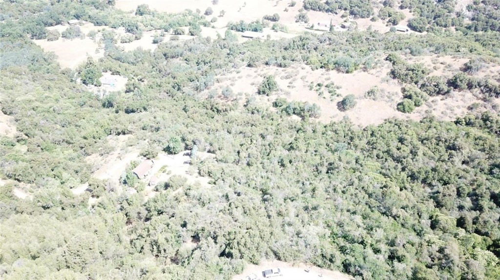 15 Acres Property Photo 7