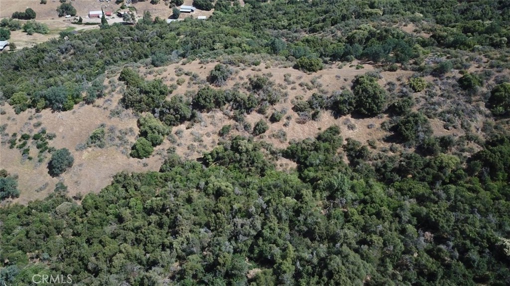 15 Acres Property Photo 8