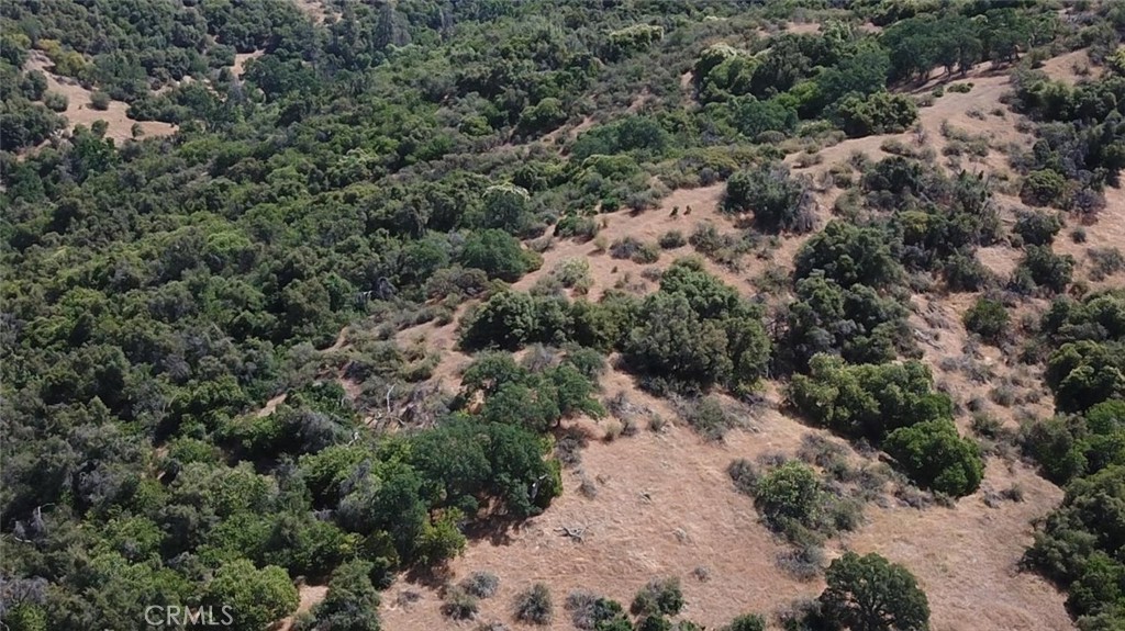 15 Acres Property Photo 9