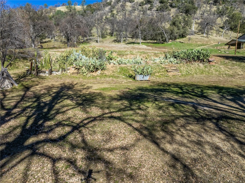 35674 Highway 41 Property Photo 32