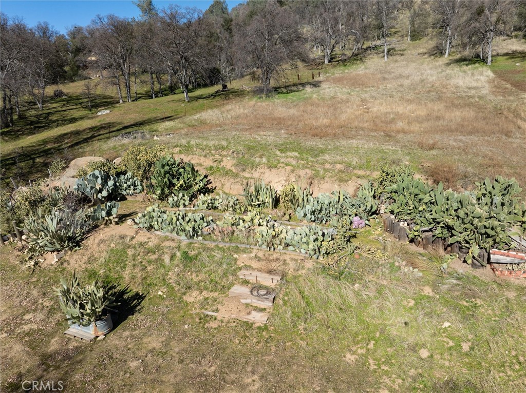 35674 Highway 41 Property Photo 34