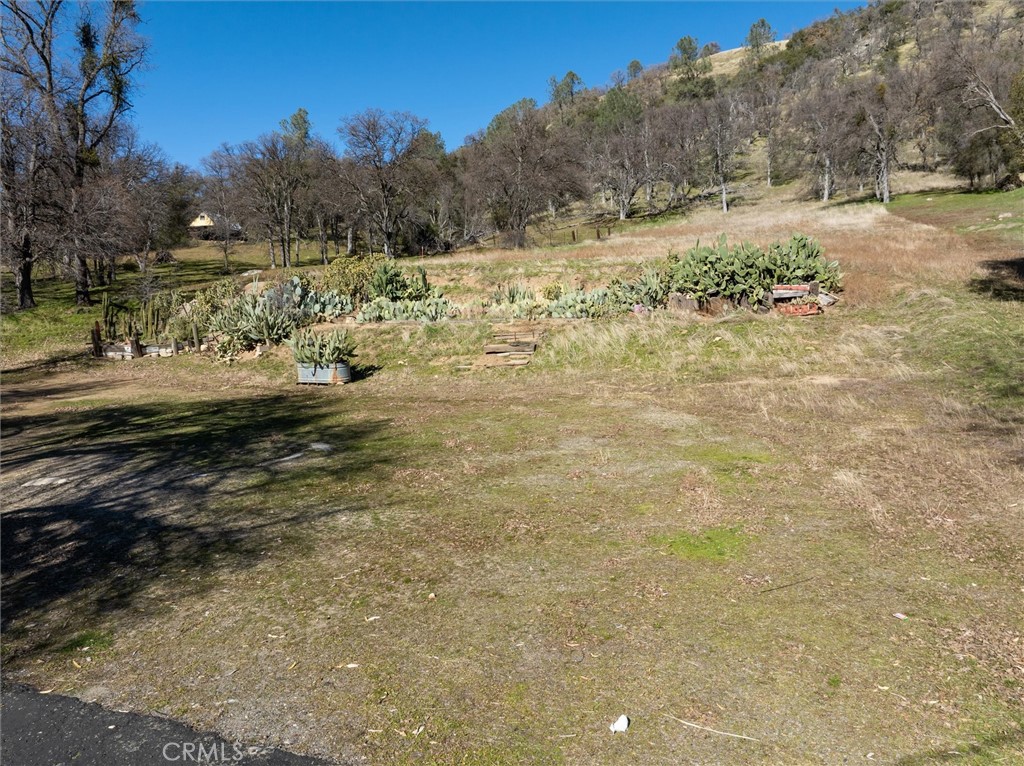 35674 Highway 41 Property Photo 35