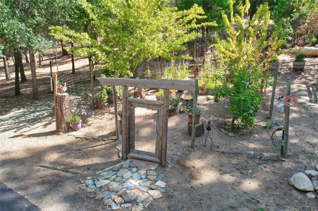 36555 Mudge Ranch Road Property Photo 52