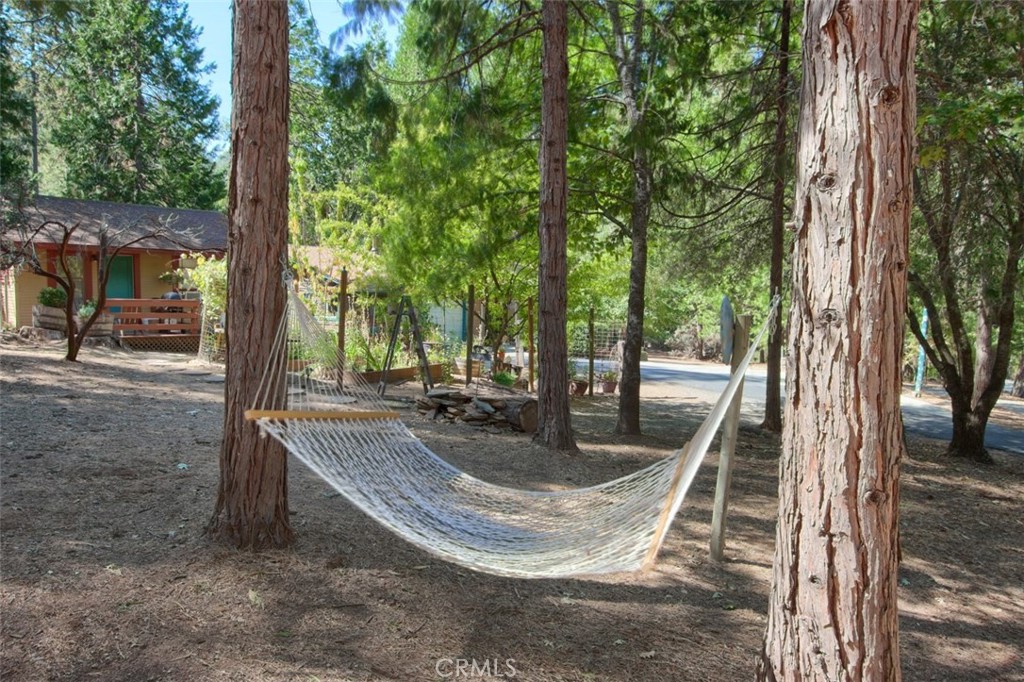 36555 Mudge Ranch Road Property Photo 55