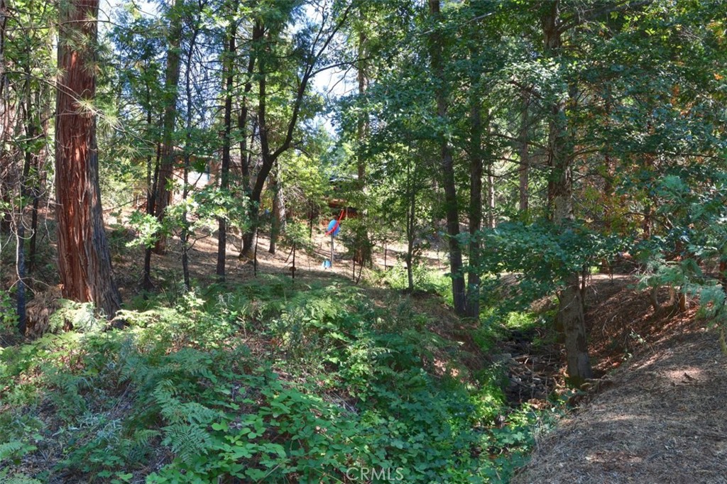 36555 Mudge Ranch Road Property Photo 56