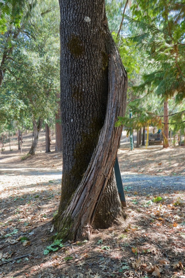 36555 Mudge Ranch Road Property Photo 62