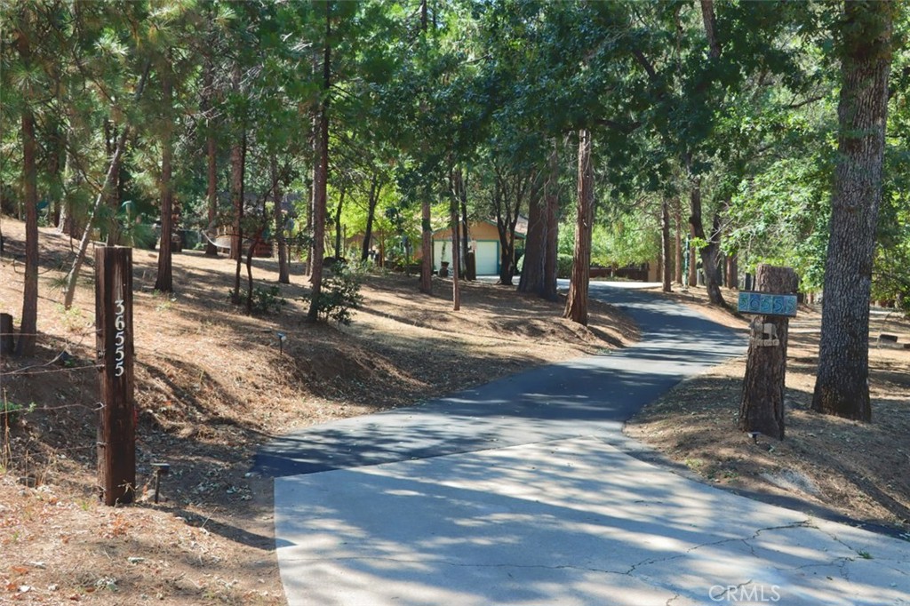 36555 Mudge Ranch Road Property Photo 72