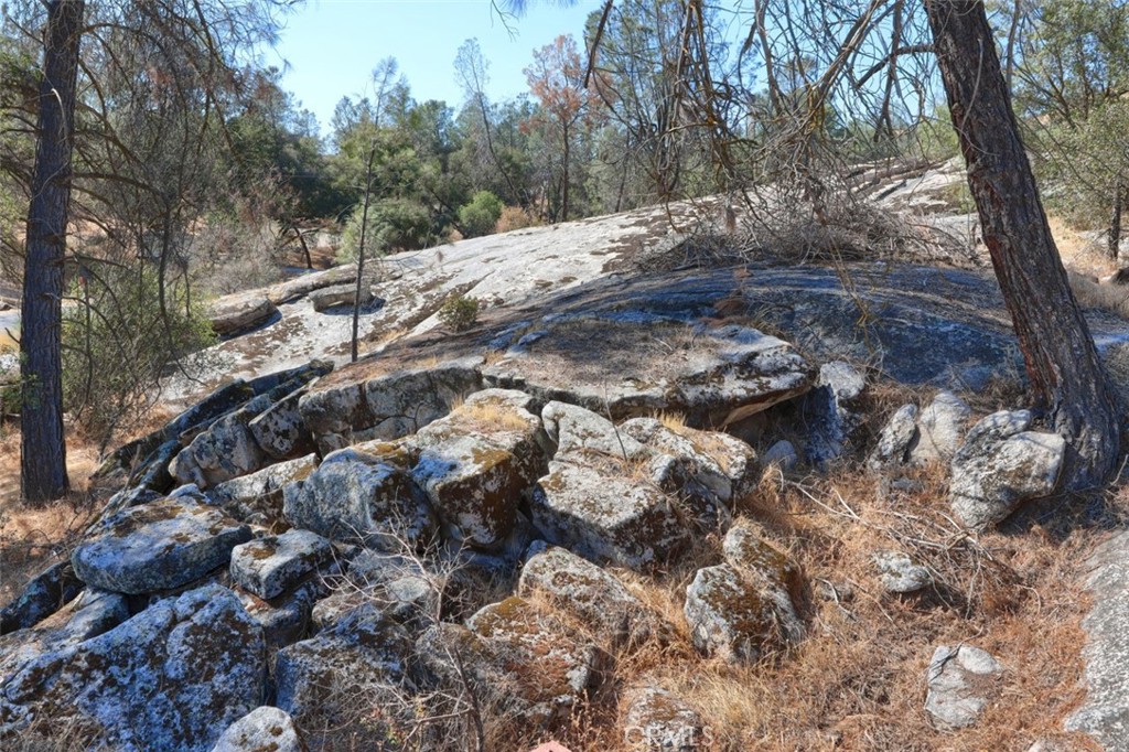 42571 Long Hollow Drive Property Photo 43