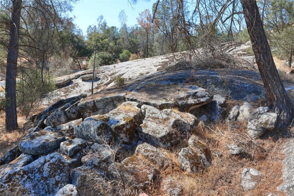 42571 Long Hollow Drive Property Photo 43