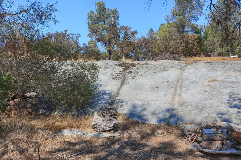42571 Long Hollow Drive Property Photo 47