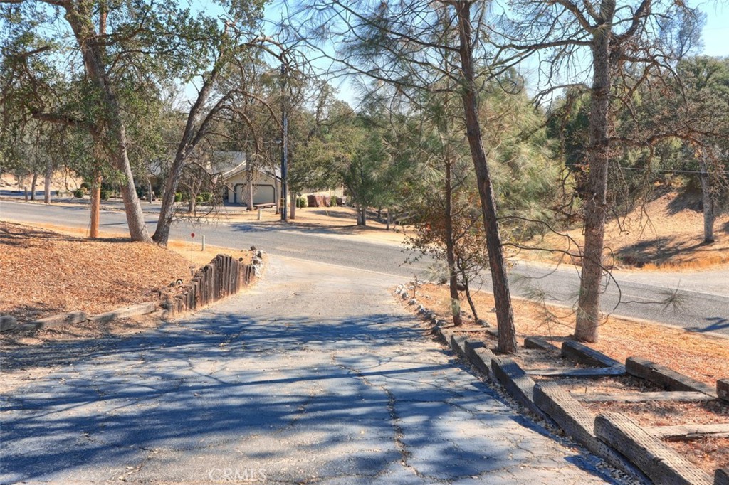 42571 Long Hollow Drive Property Photo 50
