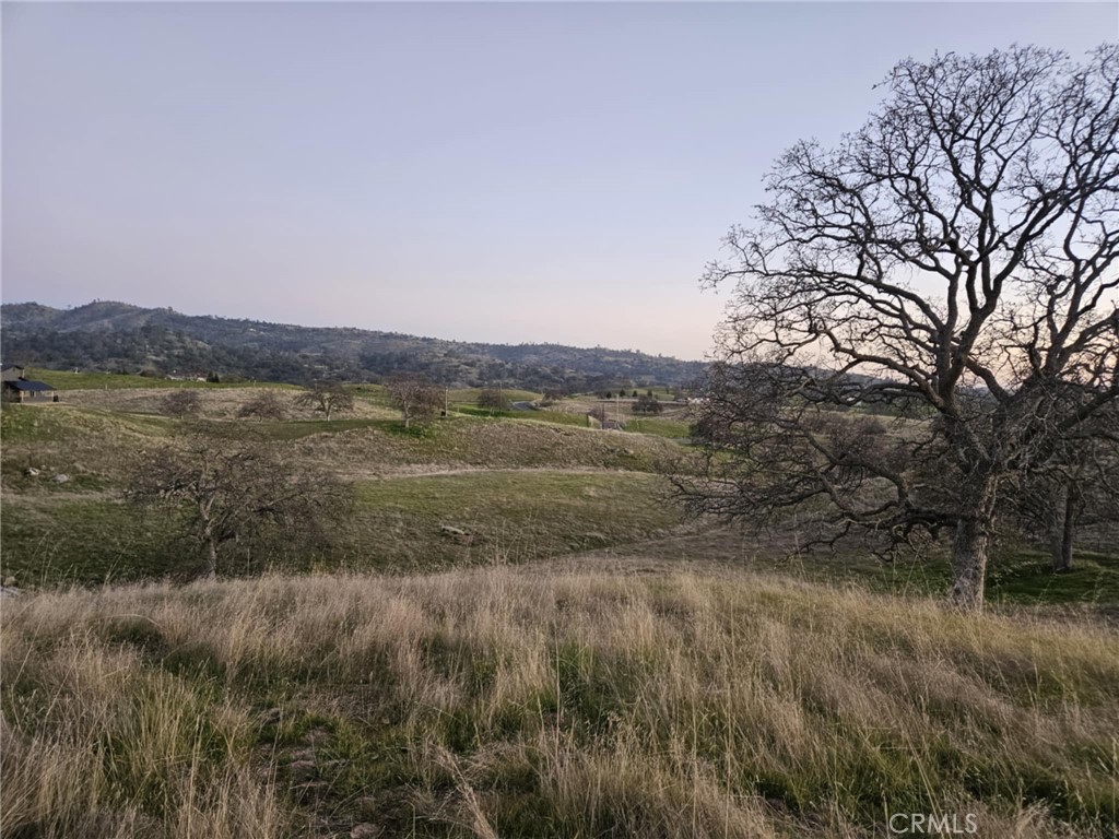 0 Rolling Oaks Property Photo