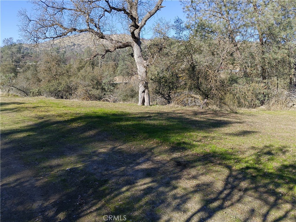 0 Lot 856 Deep Forest Drive Property Photo 1