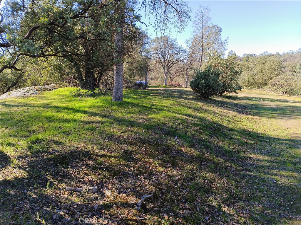 0 Lot 856 Deep Forest Drive Property Photo 2