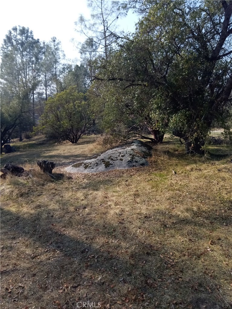 0 Lot 856 Deep Forest Drive Property Photo 3