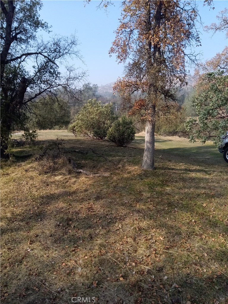 0 Lot 856 Deep Forest Drive Property Photo 4