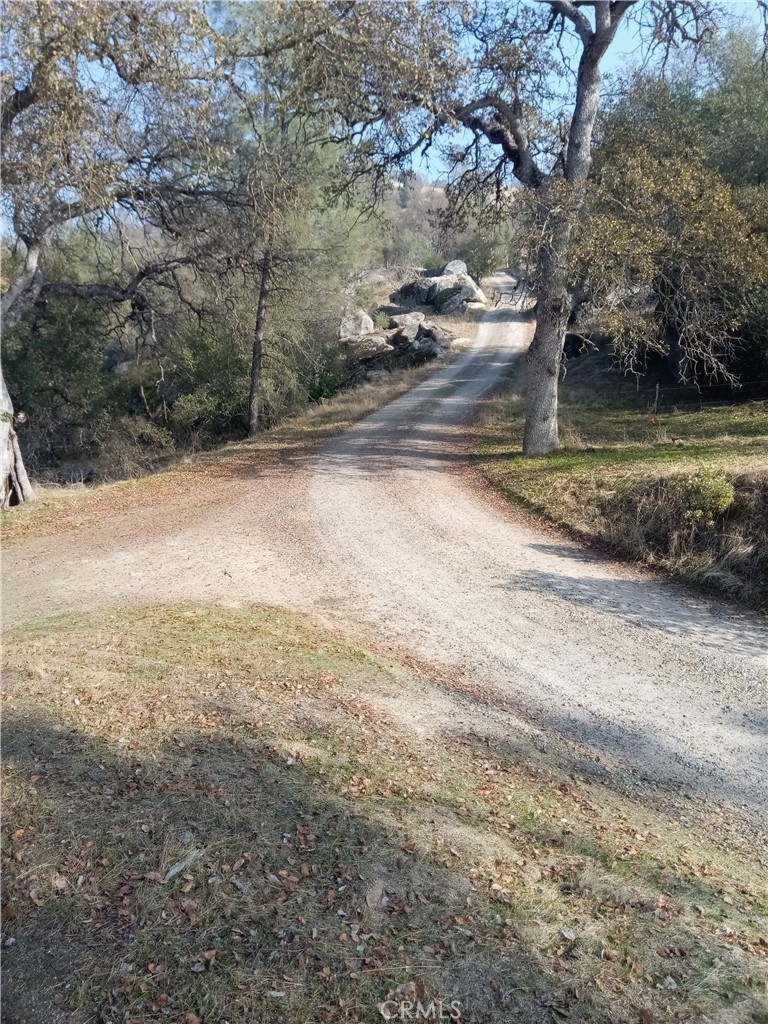 0 Lot 856 Deep Forest Drive Property Photo 5