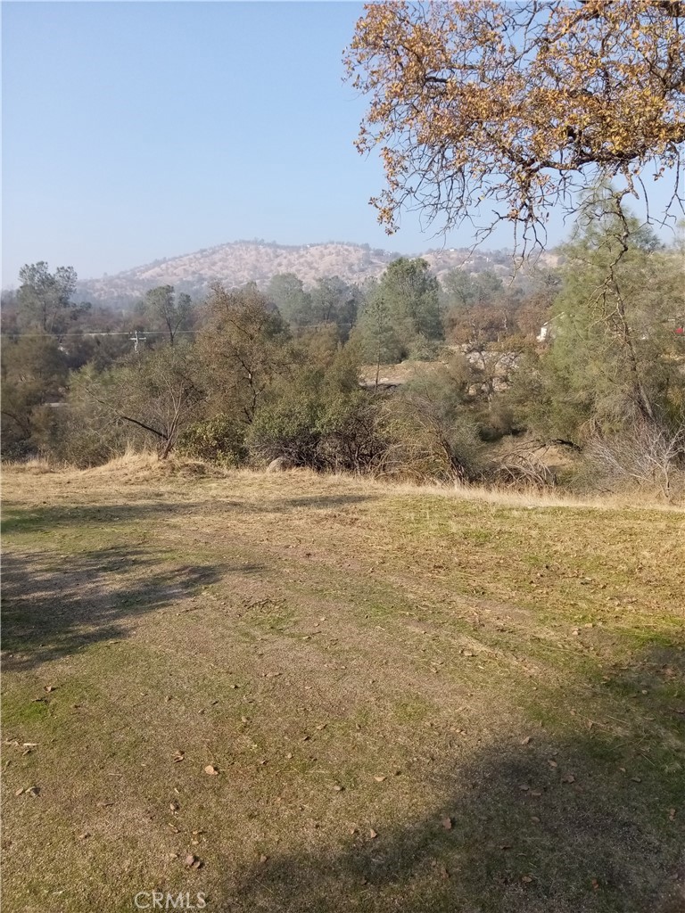 0 Lot 856 Deep Forest Drive Property Photo 6