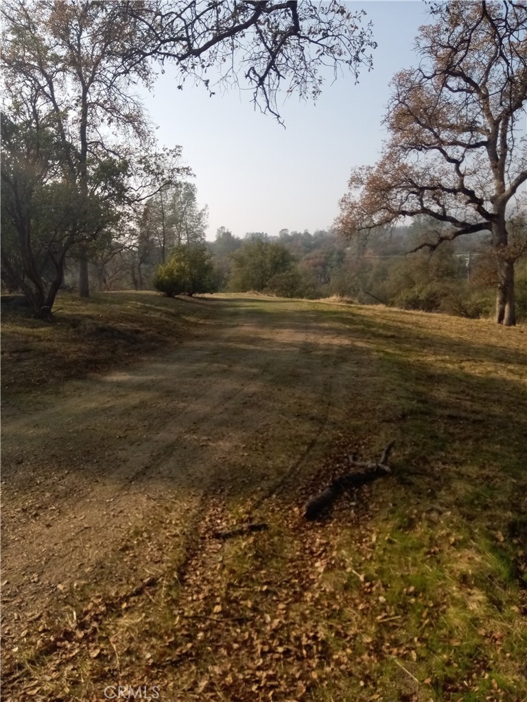 0 Lot 856 Deep Forest Drive Property Photo 7