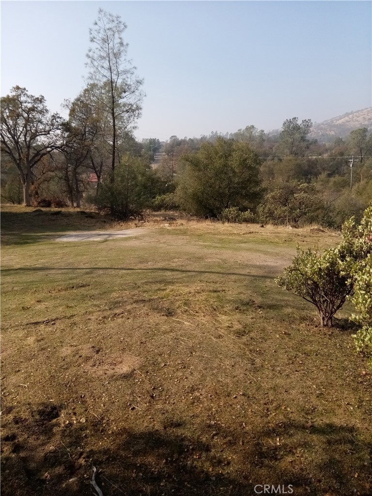 0 Lot 856 Deep Forest Drive Property Photo 8