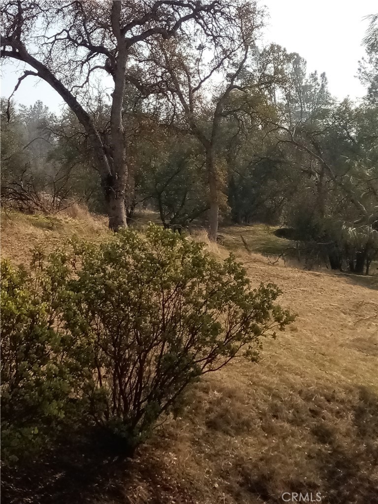 0 Lot 856 Deep Forest Drive Property Photo 9