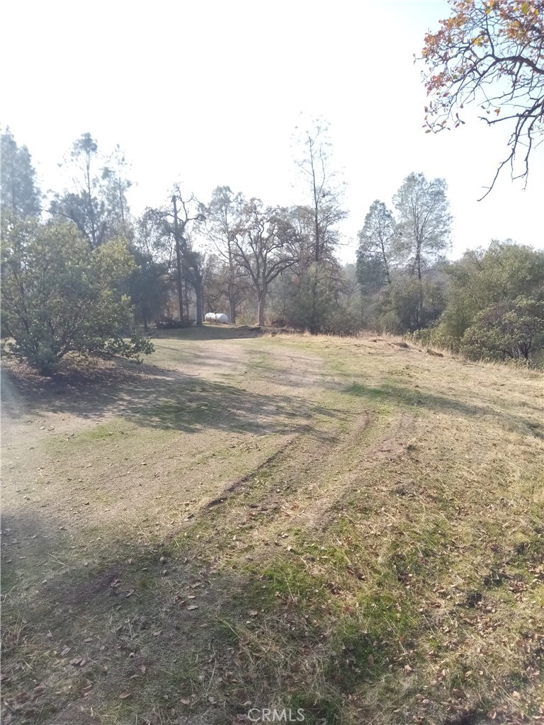 0 Lot 856 Deep Forest Drive Property Photo 10