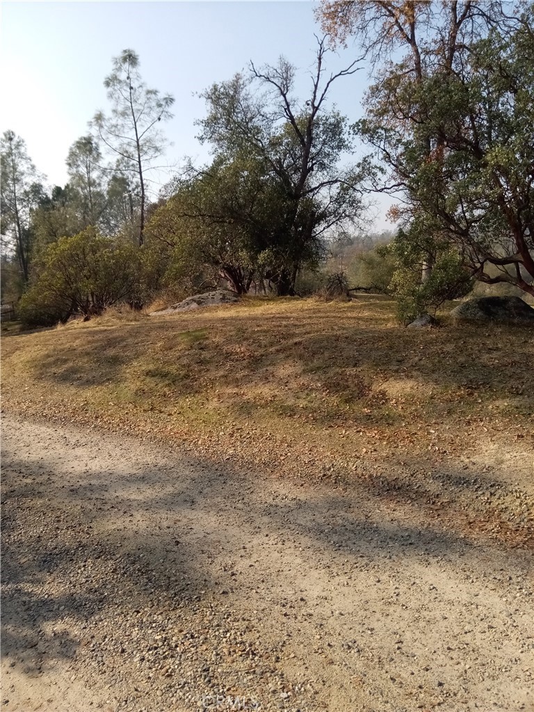 0 Lot 856 Deep Forest Drive Property Photo 12