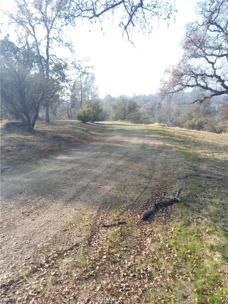 0 Lot 856 Deep Forest Drive Property Photo 13