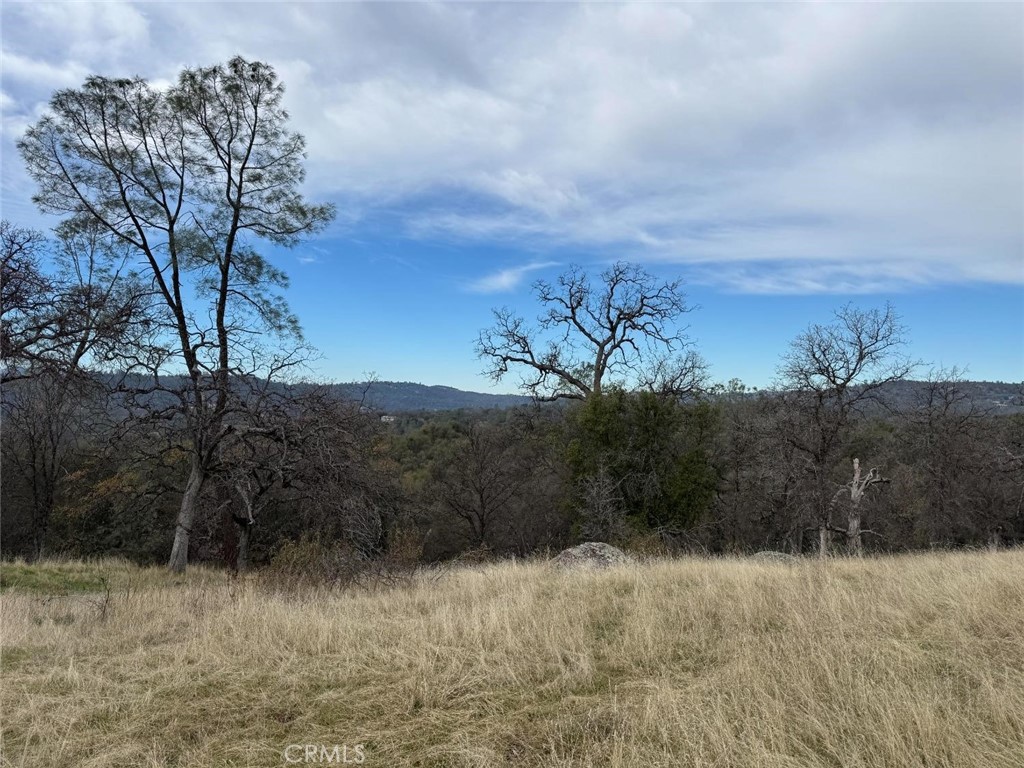 3270 Wildcat Road Property Photo 3