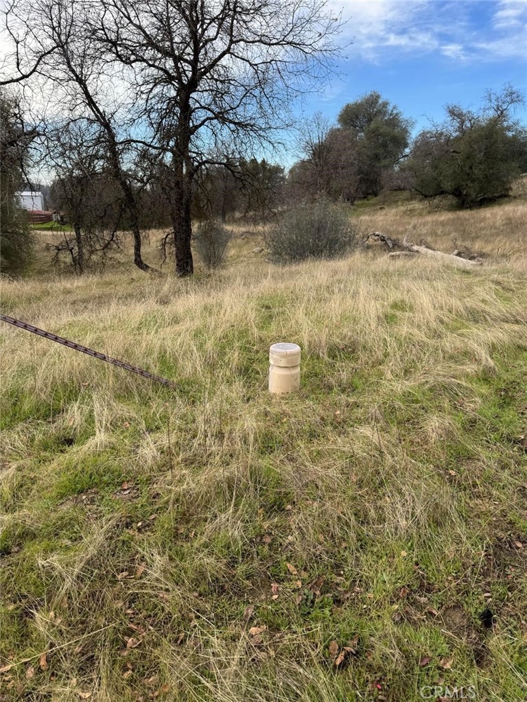 3270 Wildcat Road Property Photo 5