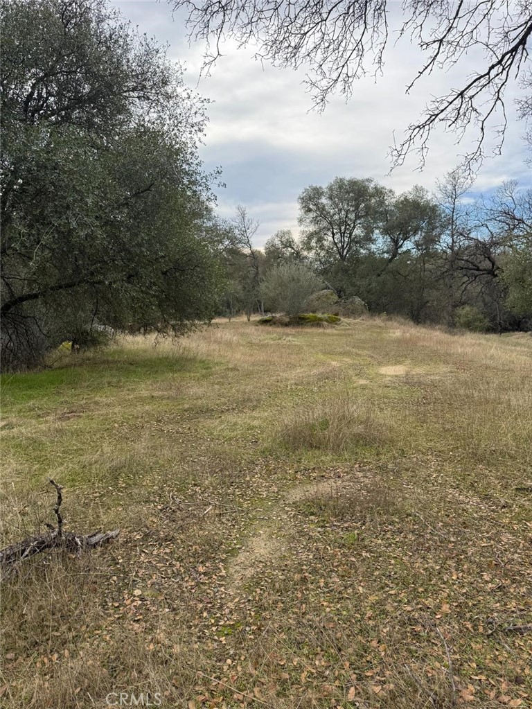3270 Wildcat Road Property Photo 8