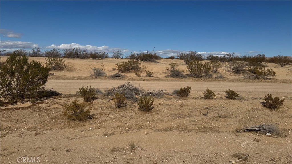 0 Gordon Property Photo 3