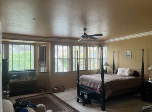 29164 Maplewood Place Property Photo 19