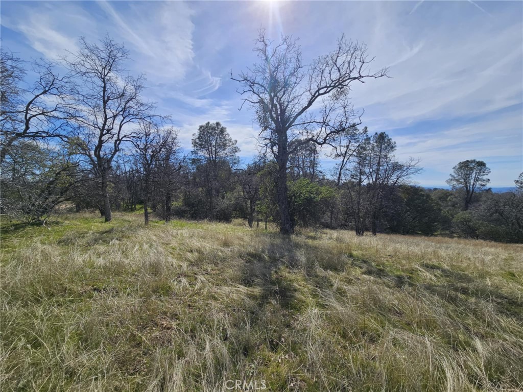 9 .94ac Old Hickory Lane Property Photo