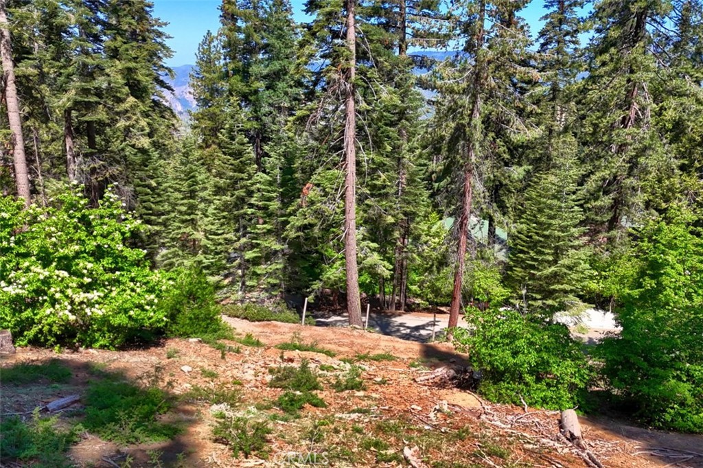 7420 Henness Ridge Road Property Photo 1