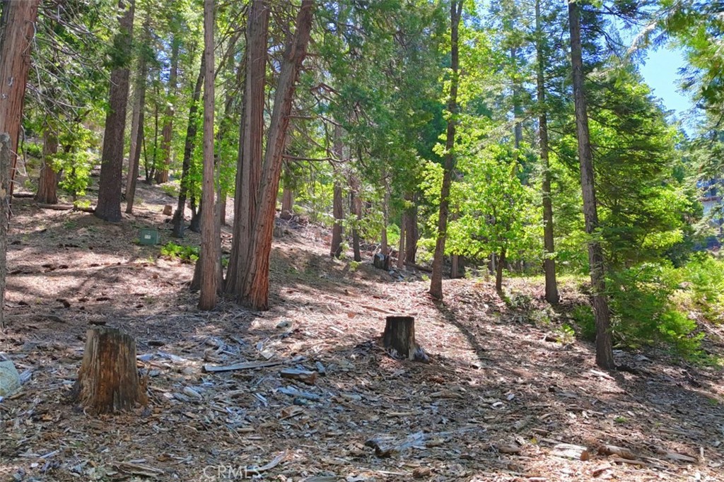 7220 Yosemite Park Way Property Photo 1