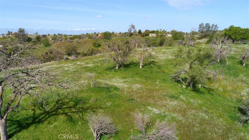32604 Road 600 Property Photo 5