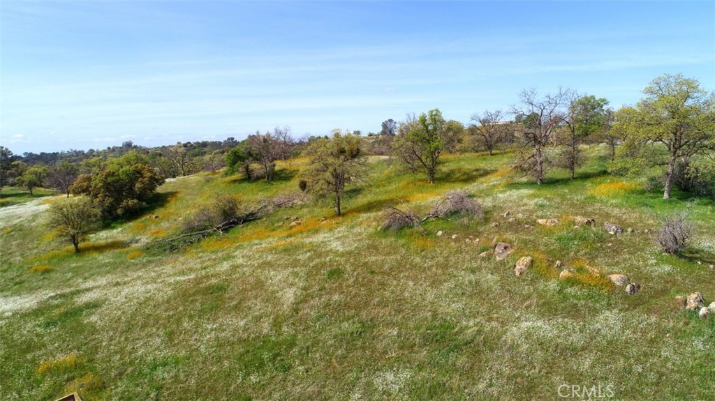 32604 Road 600 Property Photo 7