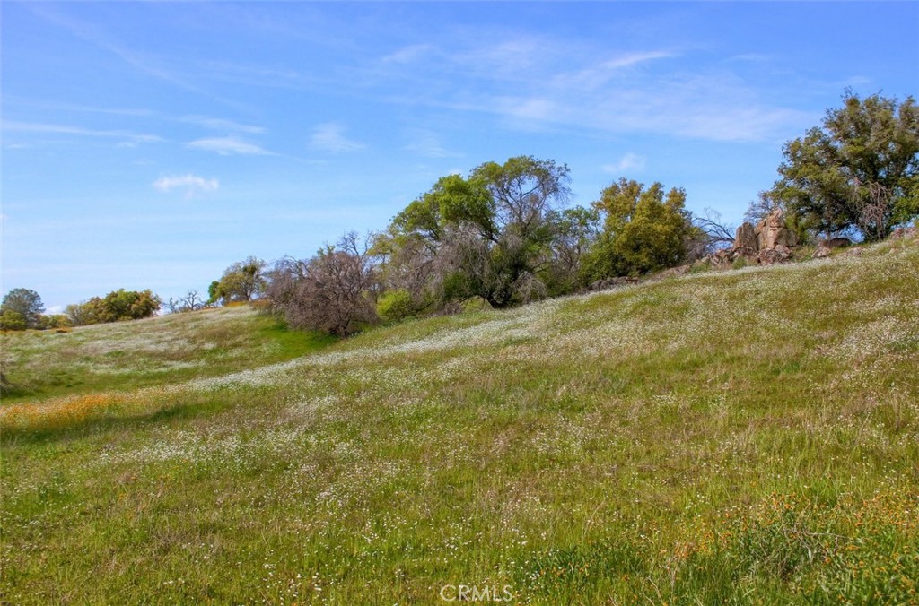 32604 Road 600 Property Photo 10