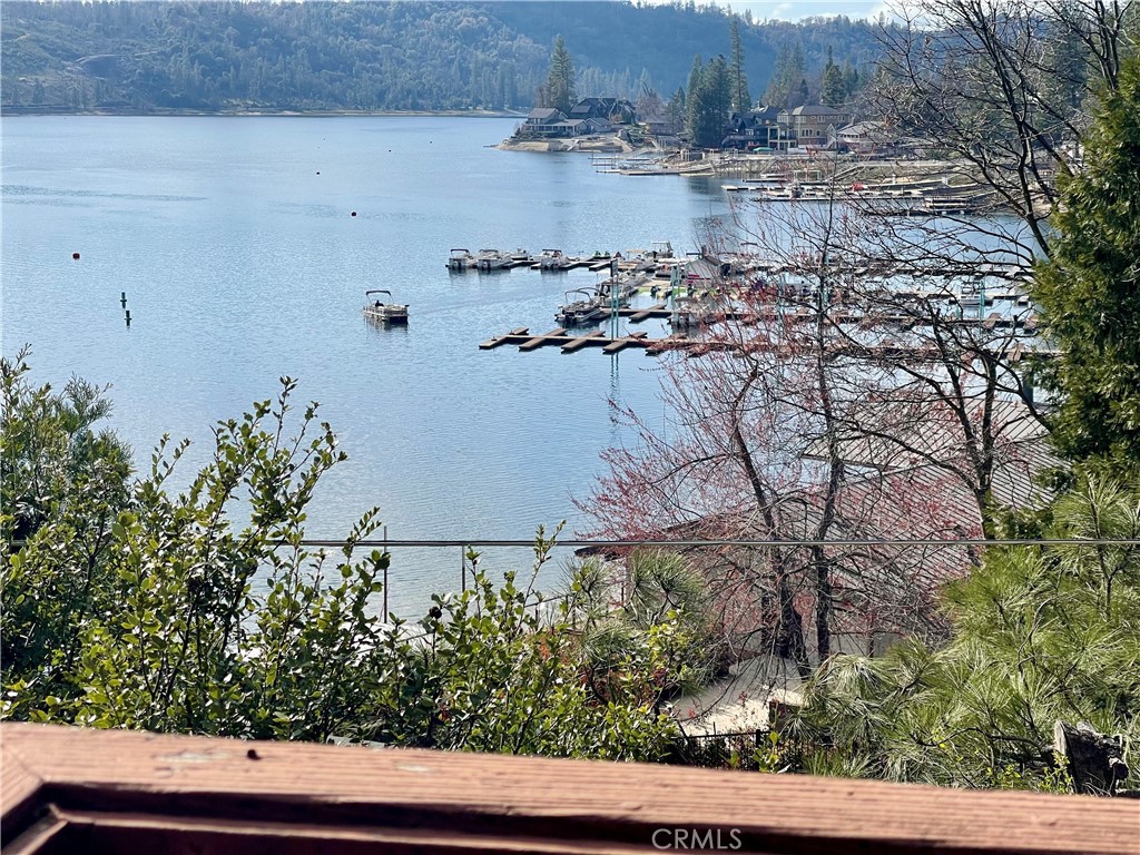39121 Lake Drive Property Photo 6