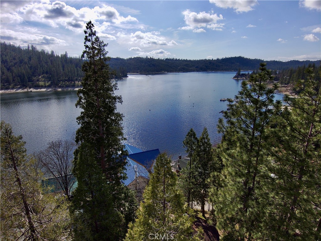 39121 Lake Drive Property Photo 23