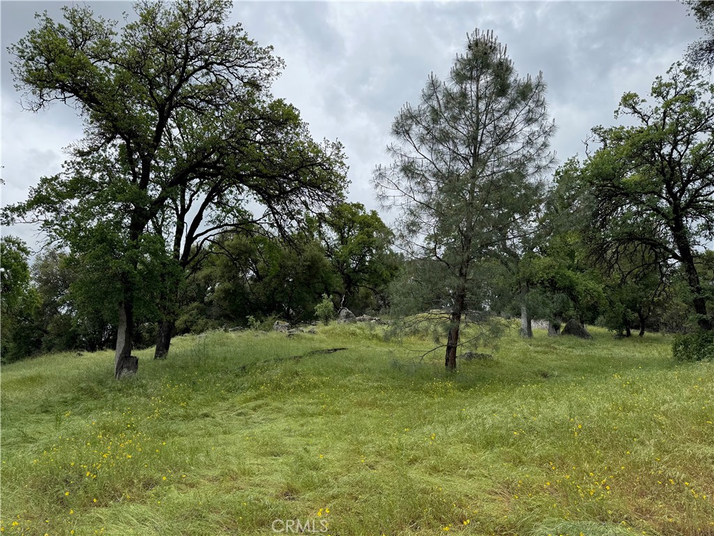 4516 Hirsch Road Property Photo