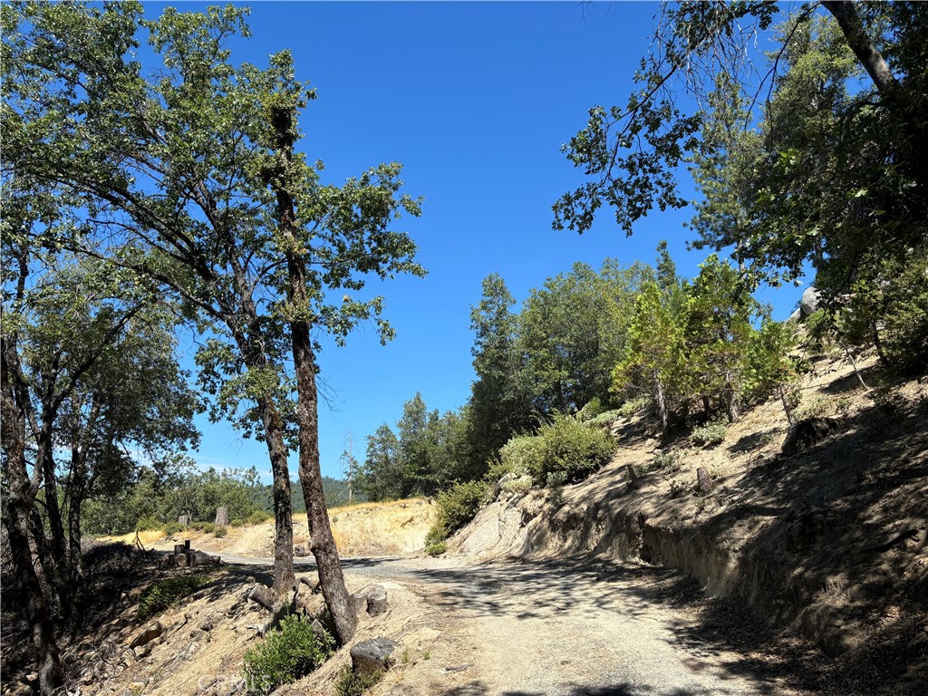 22670 Wildcat Ridge Road Property Photo