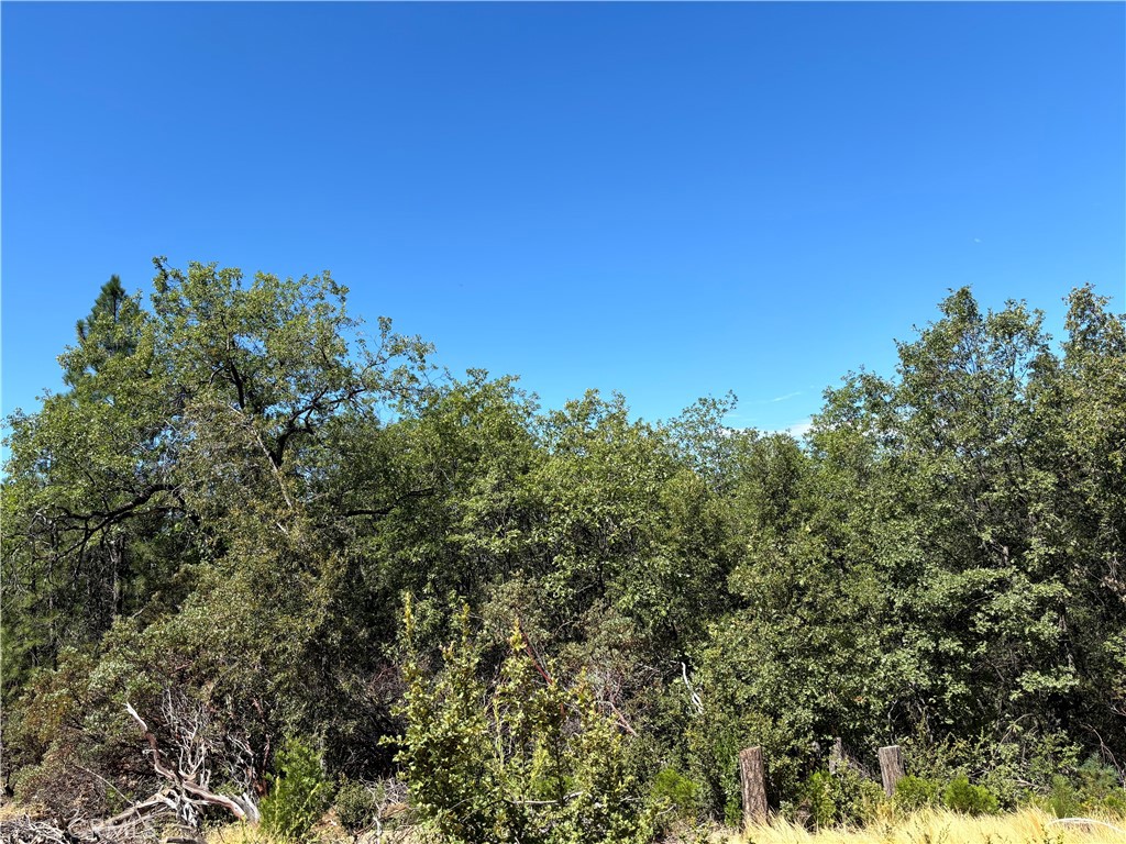 0 Wildcat Ridge Road Property Photo