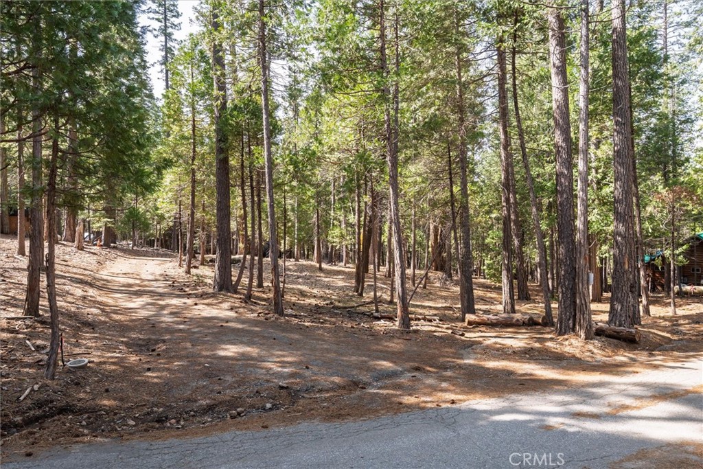 1 Koon Hollar Property Photo
